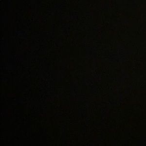 Meet your Posher, Ramsis